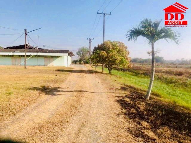 ��ªź��� �� DD Asset (Thailand) Co., Ltd.