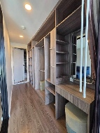 �͹� ������