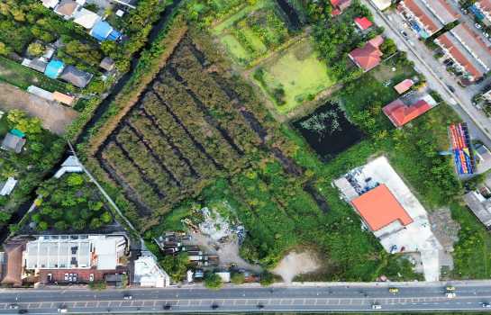 ��·��Թ �ѹ�����