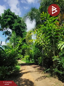 ��·��Թ ��§�ҹ ���