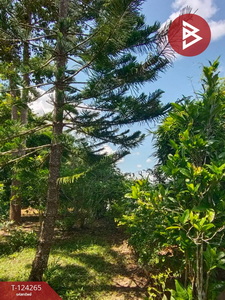 ��·��Թ ��§�ҹ ���