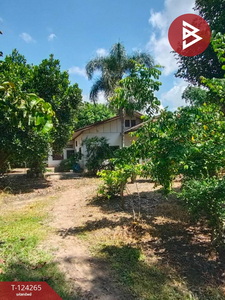 ���Թ ��� �Դ�����