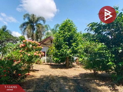 ���Թ ��� �������觻�١���ҧ