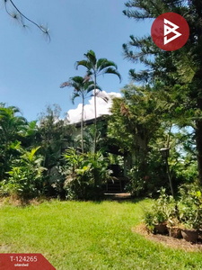 ���Թ ��� ��ҹ˹�ҵԴ���