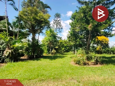 ��·��Թ ��§�ҹ ���