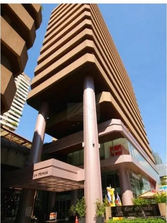 �������Ѳ�� �� coasset22