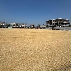 ��� ���Թ �ҧ�