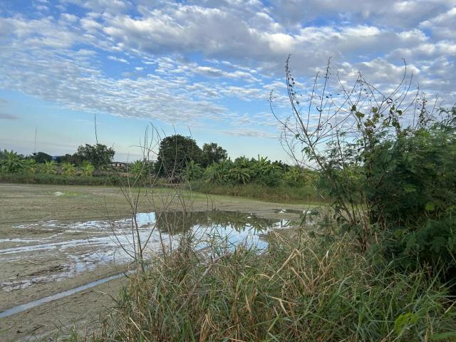 ���Թ 7 ���