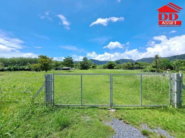 ���Թ��ҧ ����