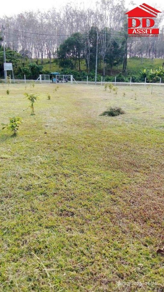 ��·��Թ ��ҧ ����