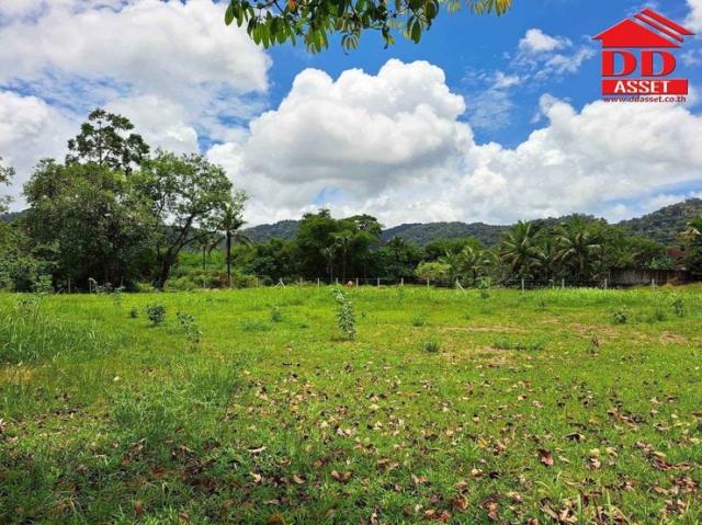 ��·��Թ ��ҧ ����