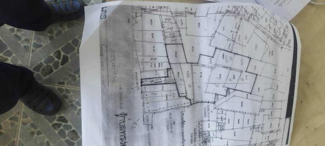 ที่ดิน แฝด ที่ดิน แฝด