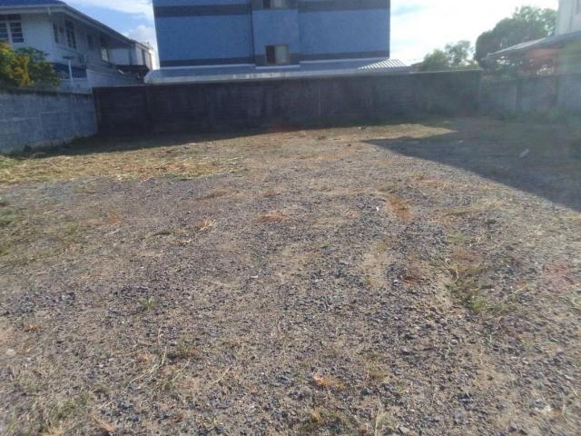 ���Թ������ ������