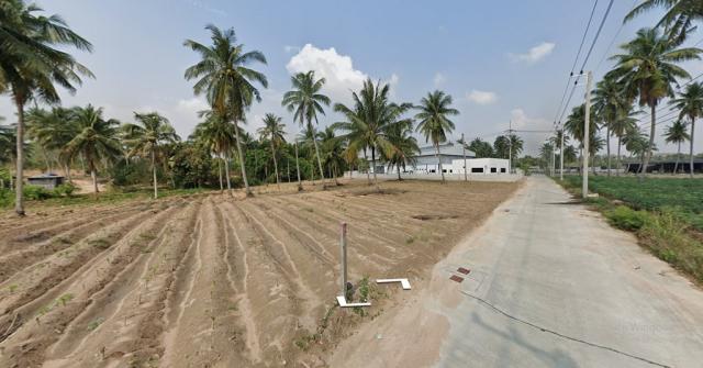 ���Թ 7 ���