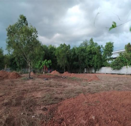 ที่ดิน แฝด ที่ดิน แฝด