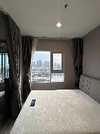 �͹� �ҧ�л�