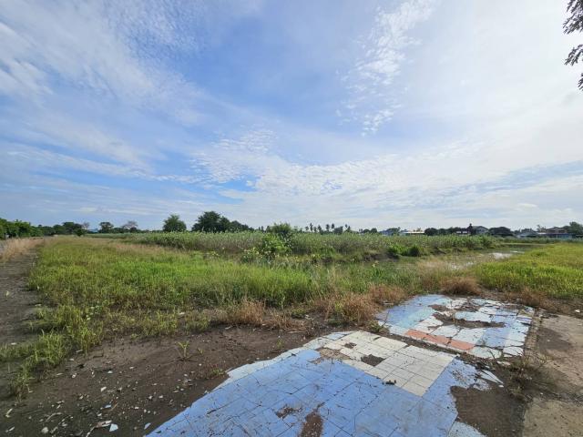 ���Թ��������� ��з���ẹ