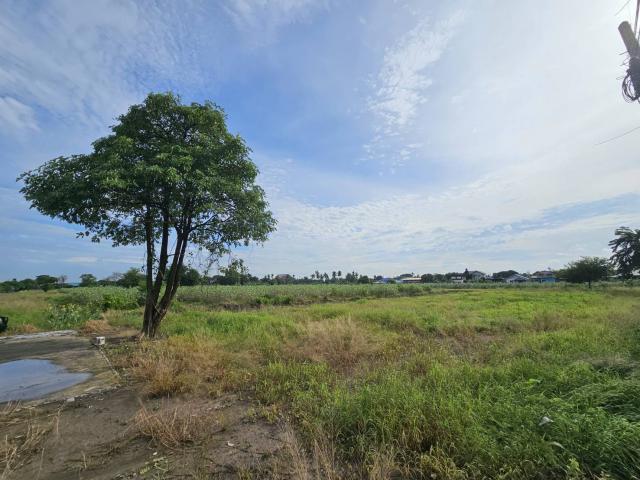 ���Թ��ҹ˹�ҵԴ��� ��з���ẹ