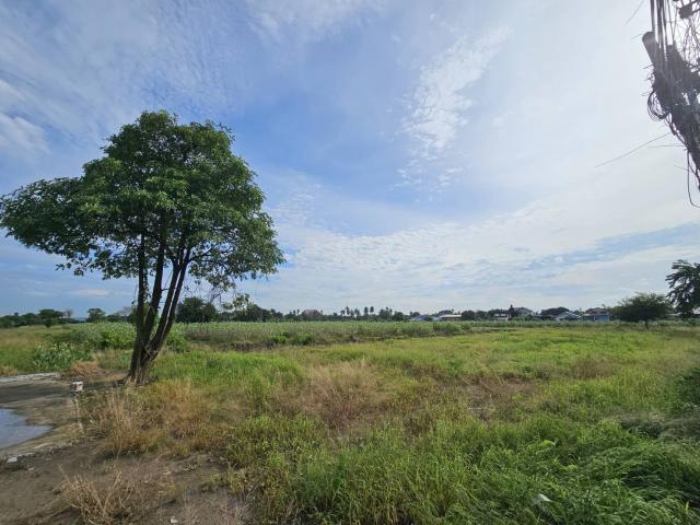 ���Թ�͡����Է�����⩹� ��з���ẹ