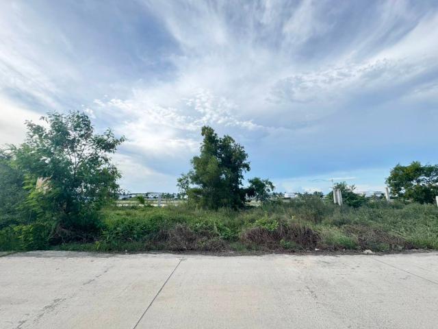 ���Թ ����ͧ