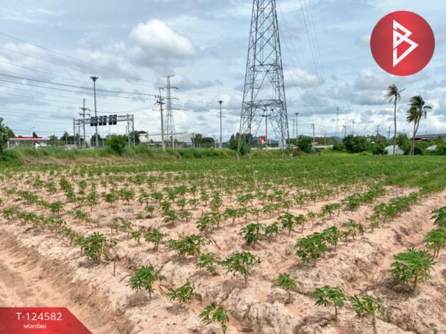 ����Ҫ� �� The Best Property Agent