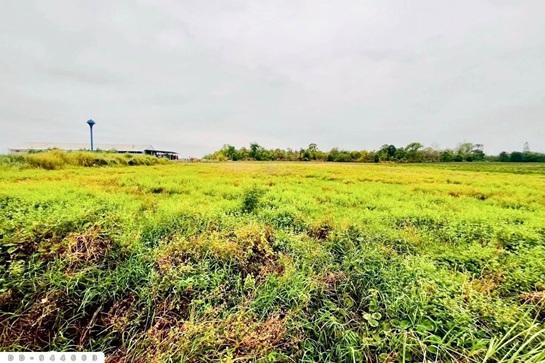 ���Թ�����һ� �شøҹ�