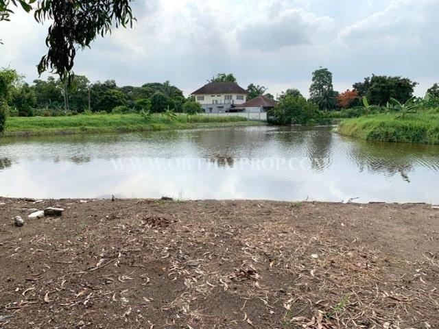 ���Թ ����ͧ