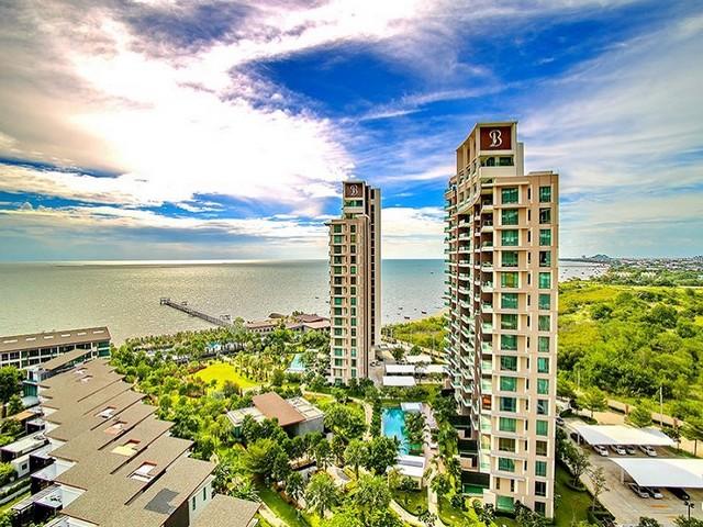 �͹������� 24 ���ҧ��