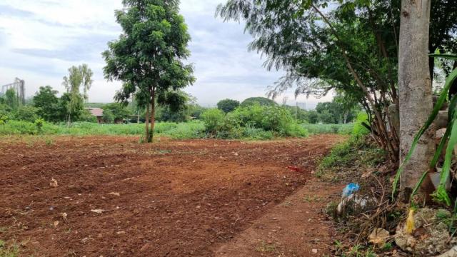 ��·��Թ lotus 4,000,000 �ҷ