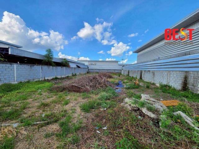 ���Թ �����