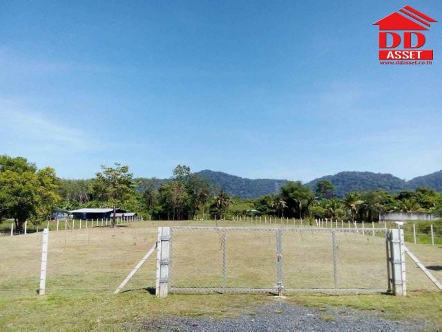 ��·��Թ ��ҧ ����