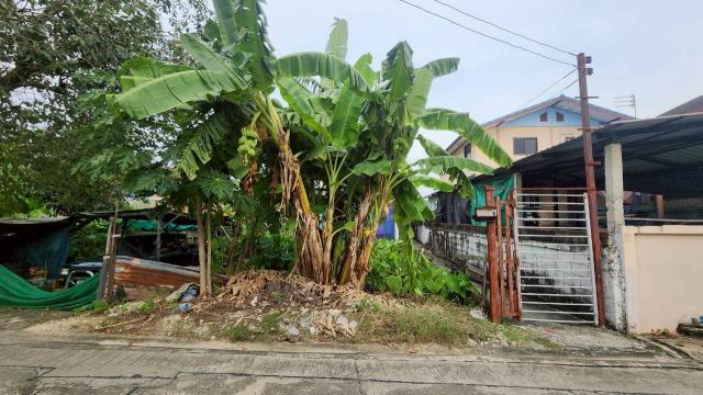 ��·��Թ ��觤��