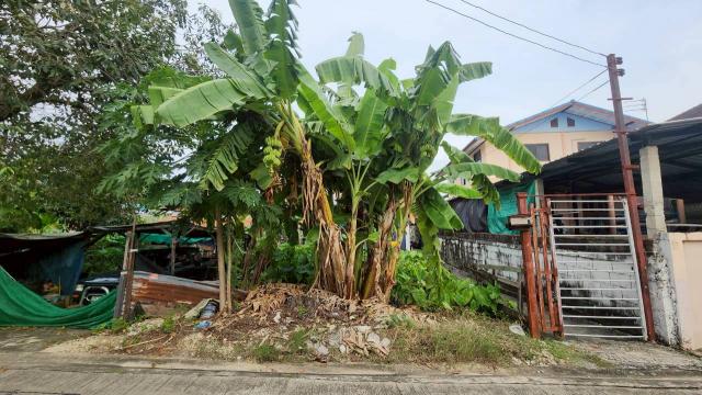 ��·��Թ ��觤�ء�ا෾