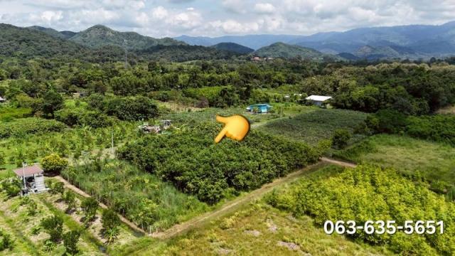 ���Թ ��к���