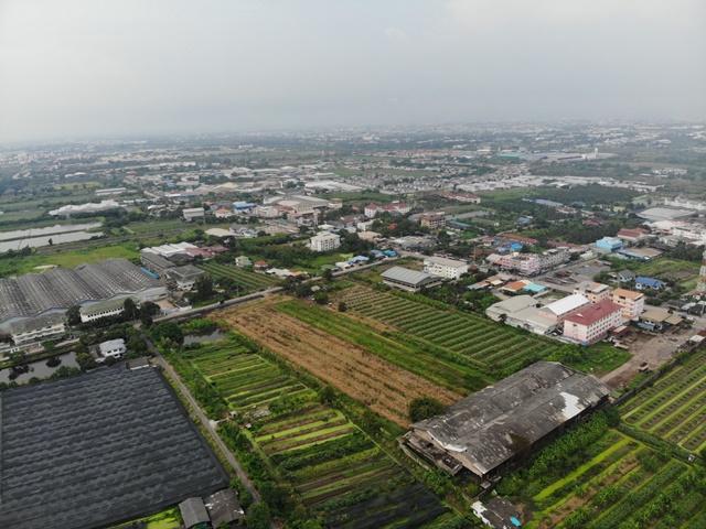 ที่ดิน 7 ไร่ ที่ดิน 7 ไร่