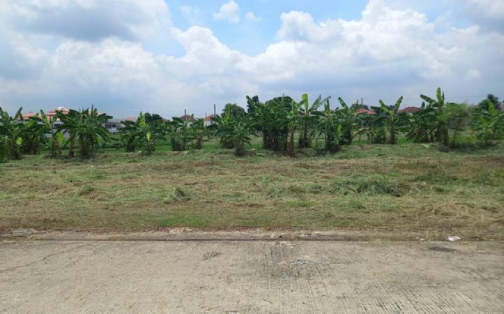 ที่ดิน 5 ไร่ ที่ดิน 5 ไร่