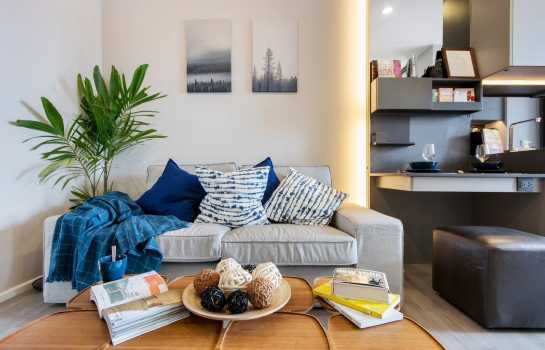 ���⢹� �� Asset X Property