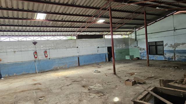 ⡴ѧ������ �ҧ�