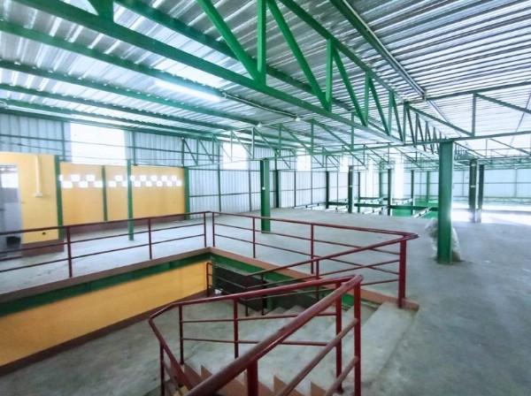 ⡴ѧ������ �ҧ�