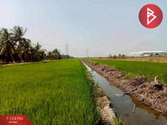 ��û�� �� The Best Property Agent