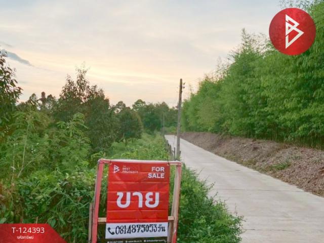 ���ͧ �� The Best Property Agent