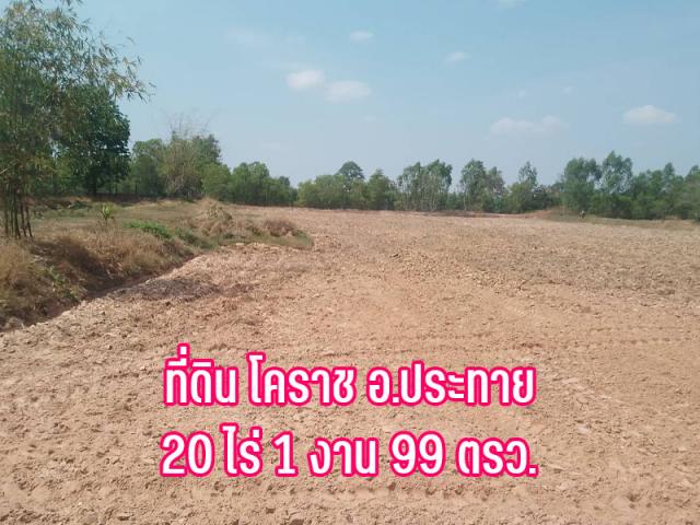 ที่ดิน 19 ไร่ ที่ดิน 19 ไร่