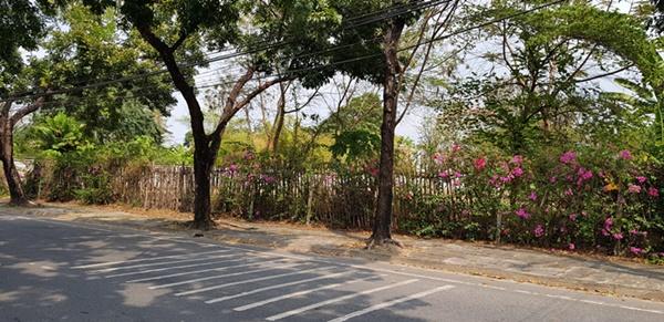 ·Õè´Ô¹ 1137 µÒÃÒ§ÇÒ ·Õè´Ô¹ 1137 µÒÃÒ§ÇÒ