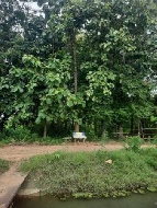 ��·��Թ �Ҥһ�С�Ȣ�� 950,000 �ҷ