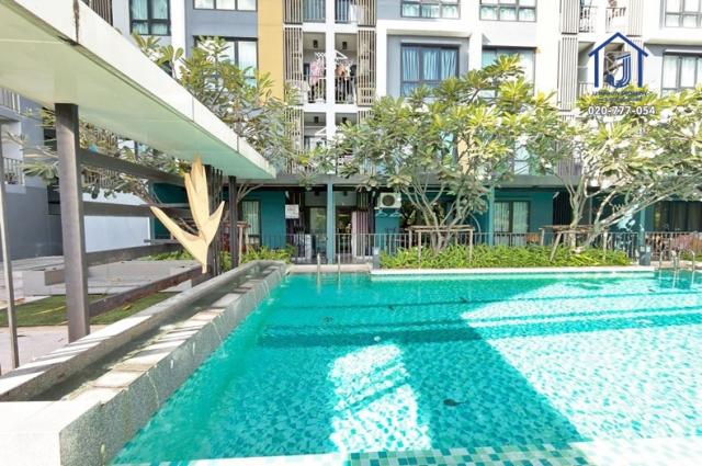 ��ا෾ �� JJ Infinity