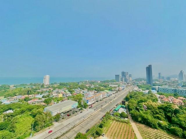 ����Ҫ� �� ataproperty22