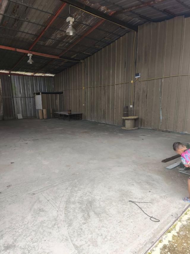 ⡴ѧ������ ������