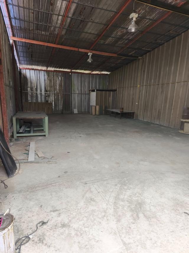 ⡴ѧ������ ������