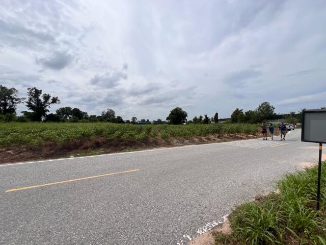 ที่ดิน 19 ไร่ ที่ดิน 19 ไร่