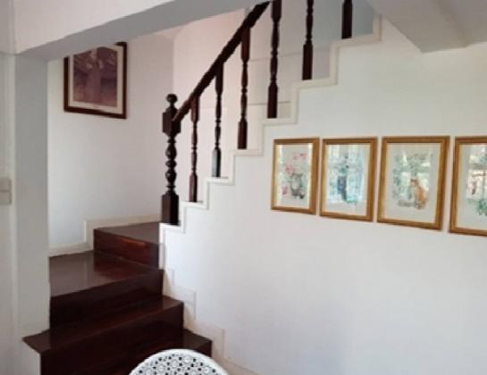 ��ҹ����������� �оҹ�٧��ا෾